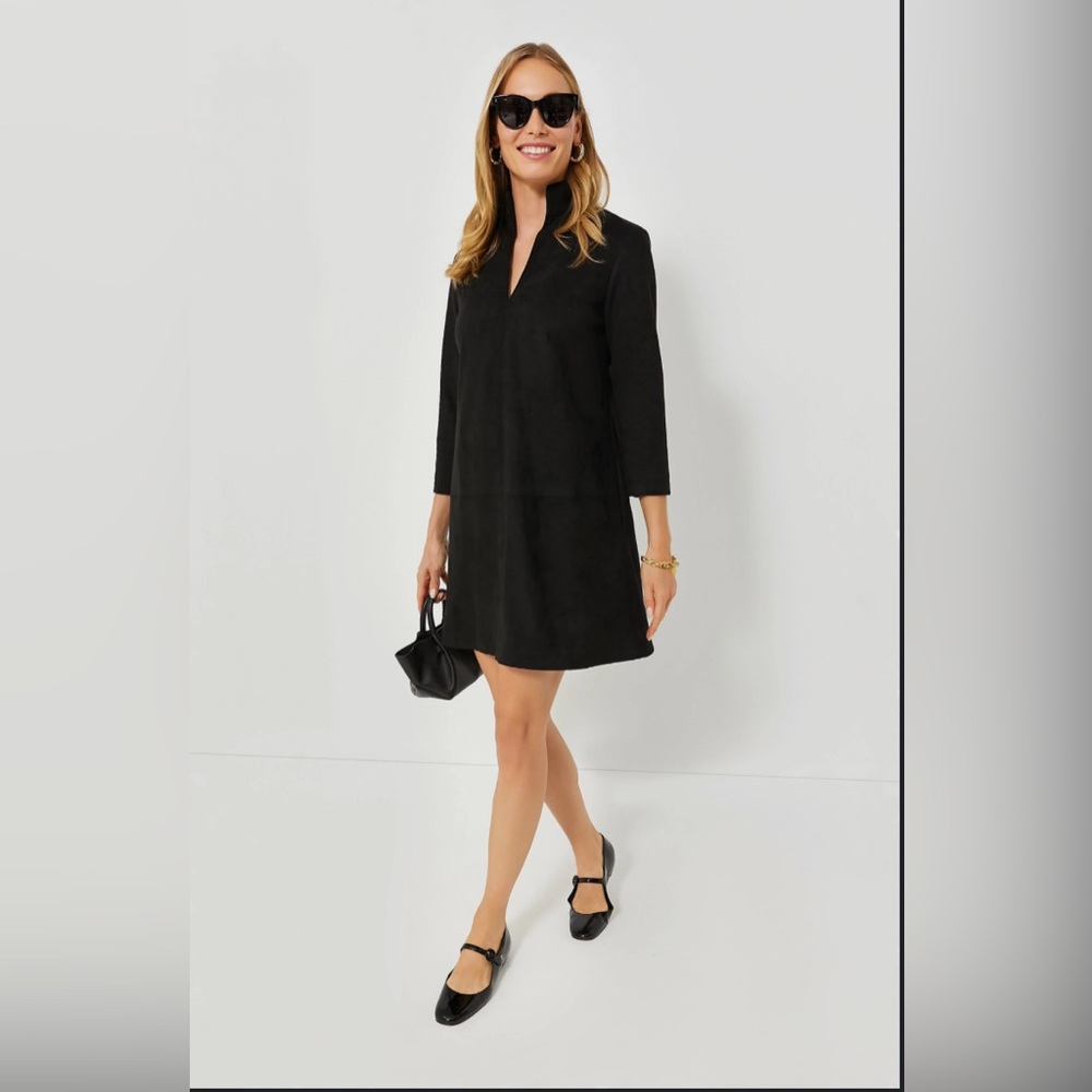 Tuckernuck black suade Clifton dress